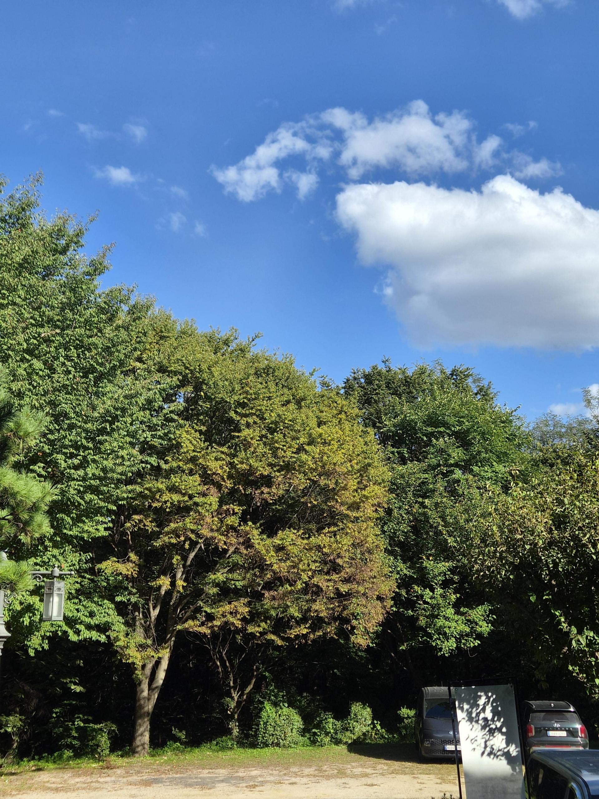b0b84a1235ea5.jpg