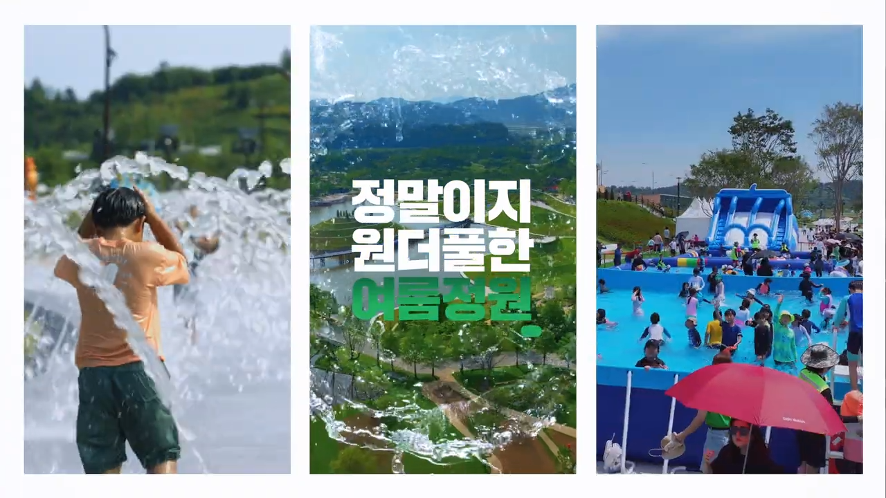 b1a910372d95c.png