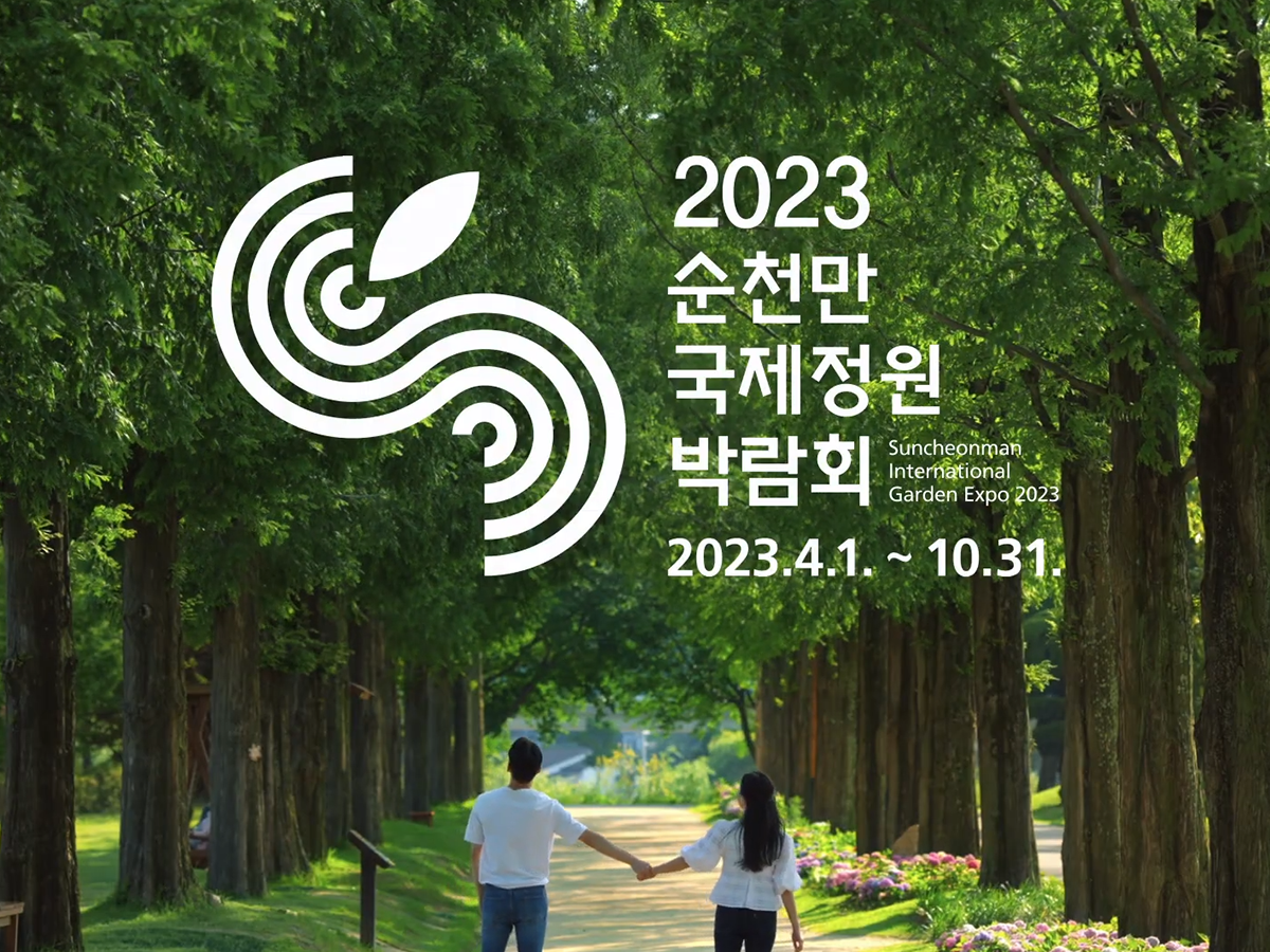 ff02706c6b33e.png