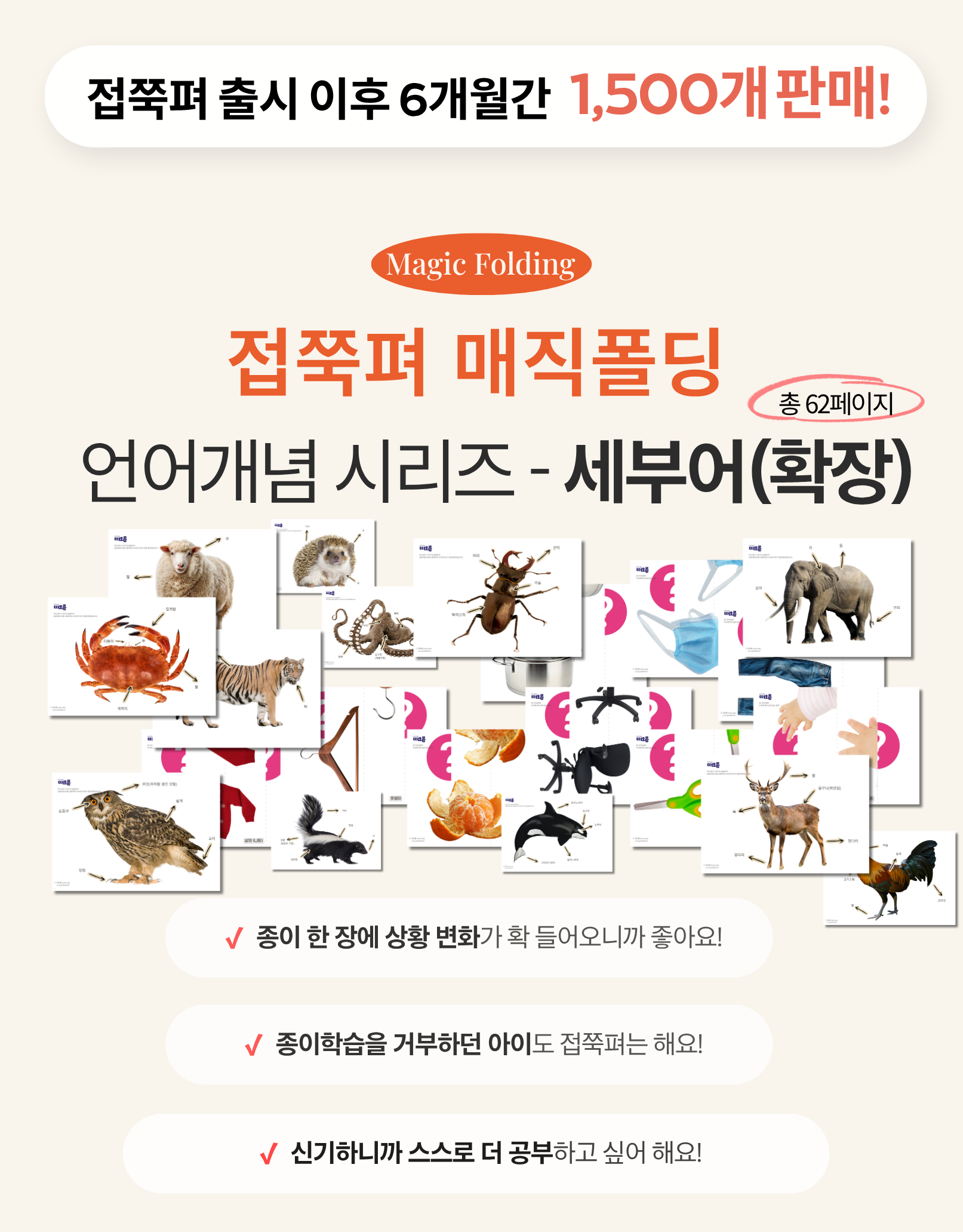 [개념] 접쭉펴 매직폴딩 - 세부어휘(확장)