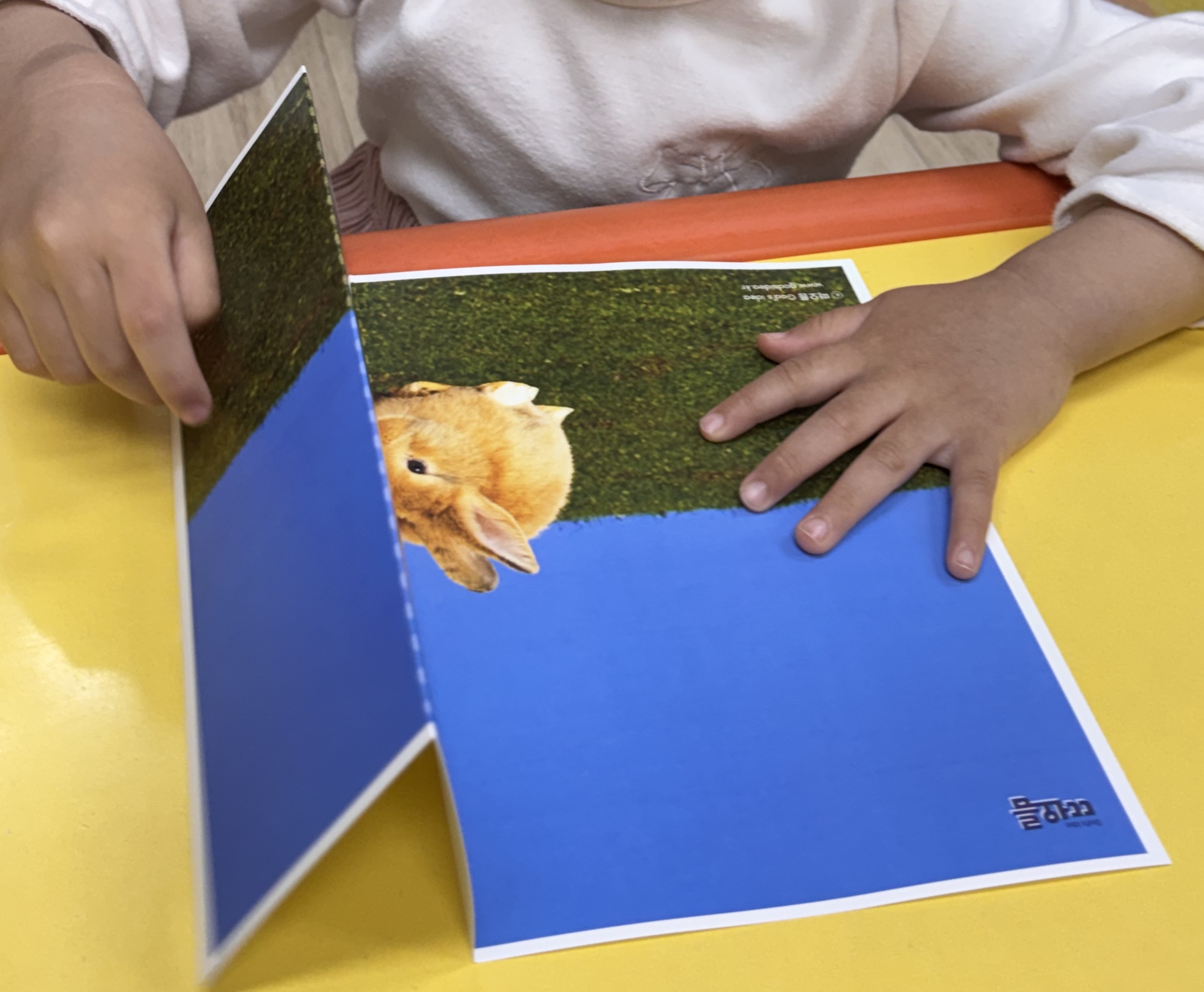 d614ade43d501.jpeg