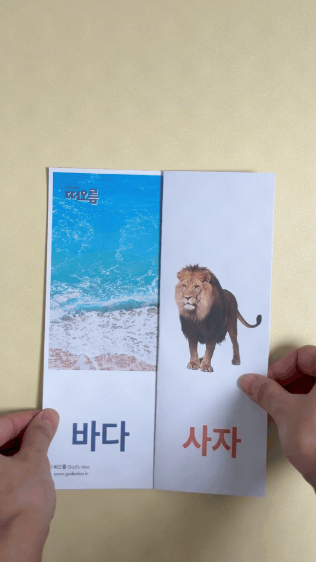 [어휘] 바다동물 1탄 단어 합성ㅣ어휘 합성, 설명
