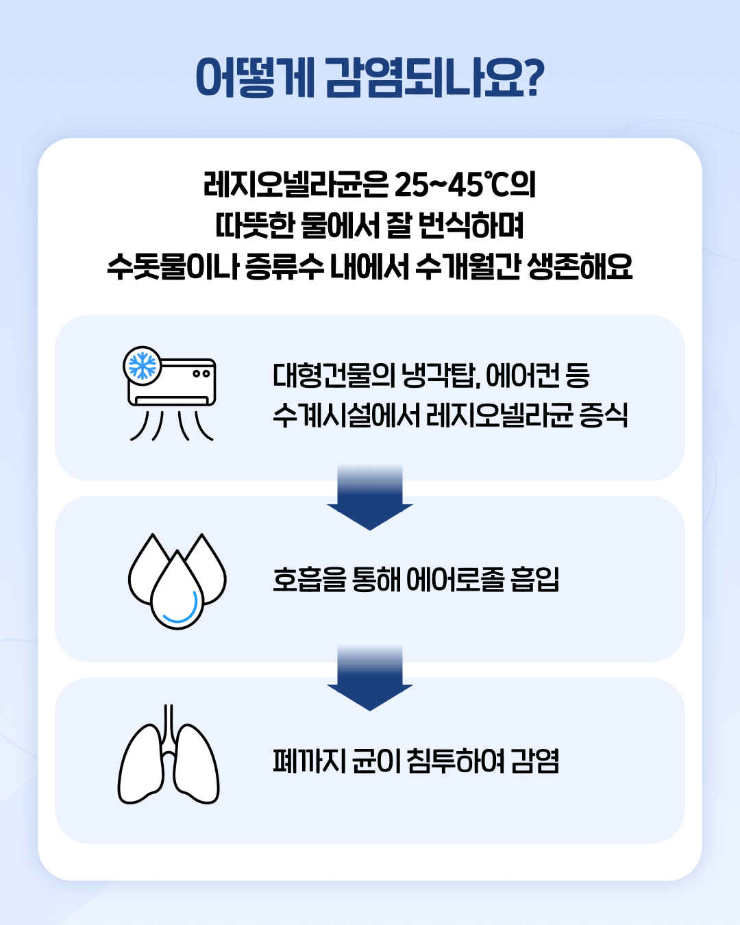 37c12fd8d4ab2.png