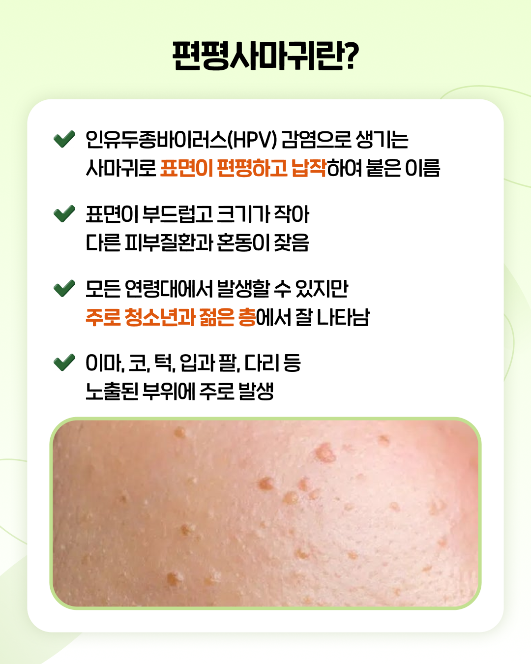 3e354afa695c1.png