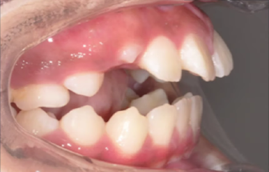 1fbd068ee85c2.png