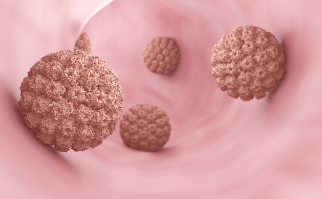 HPV
