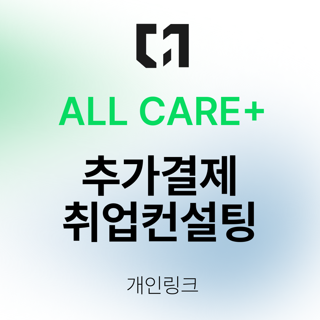 개인 추가 결제 - 2회 컨설팅