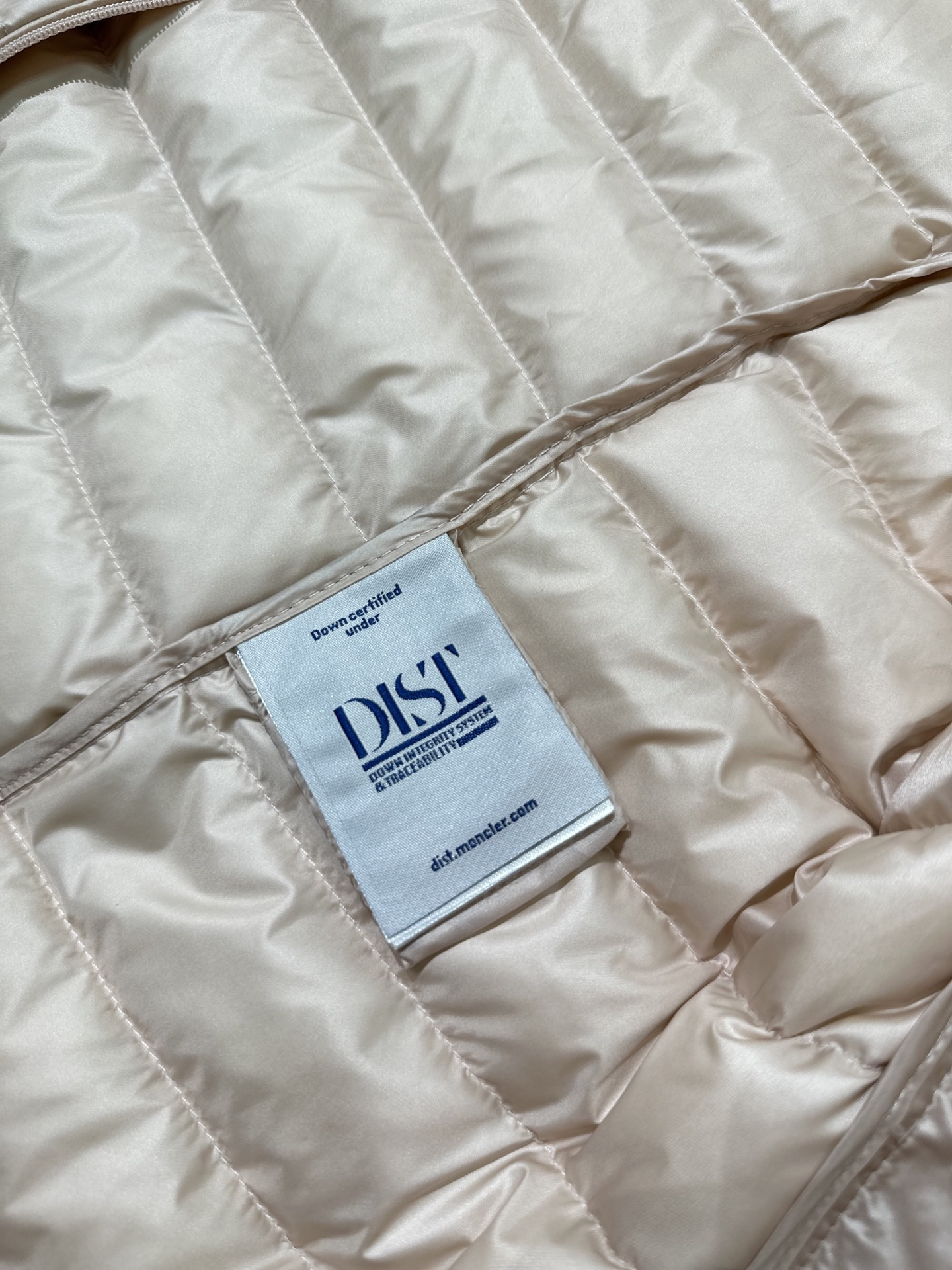 이겔후드 쇼트 다운 자켓