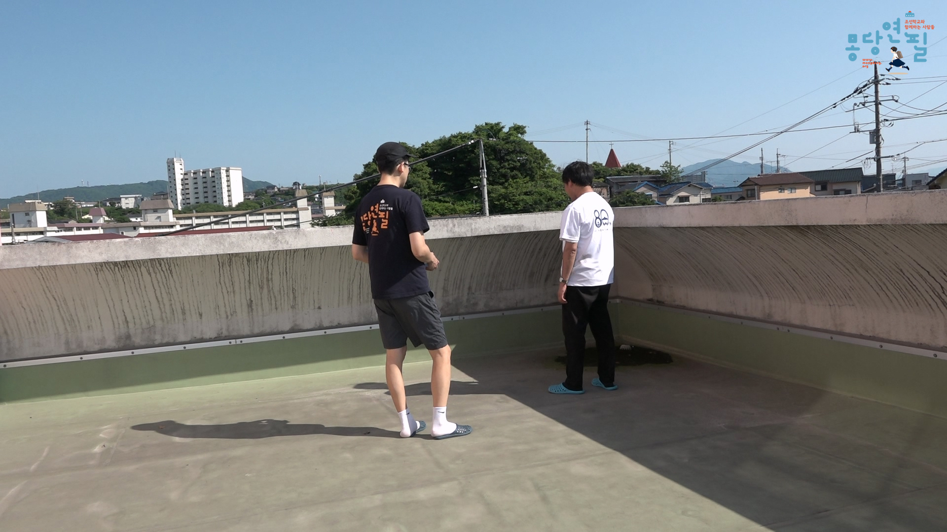 2526338f029cd.jpg