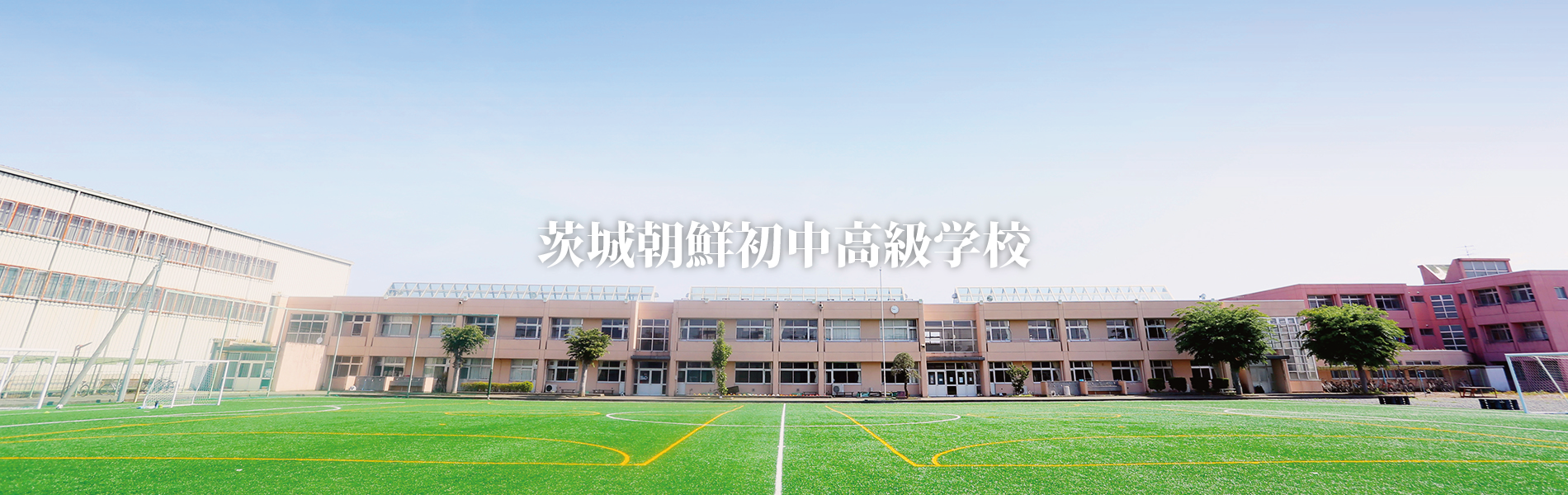 34141e4980275.png