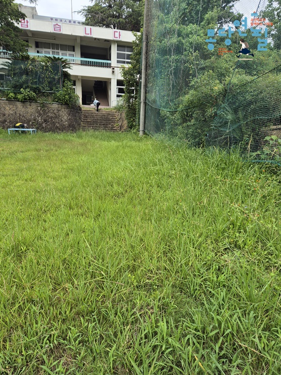6fb756e228230.jpg