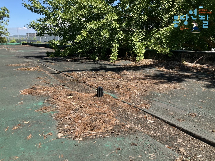 73988518e1647.jpg