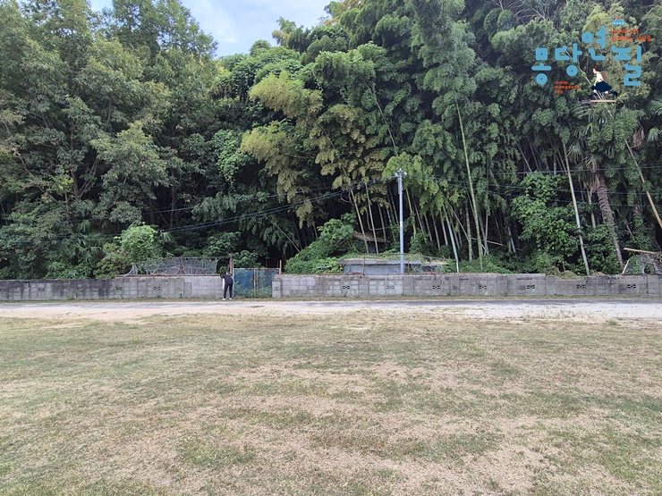 b3c7fb328f010.jpg