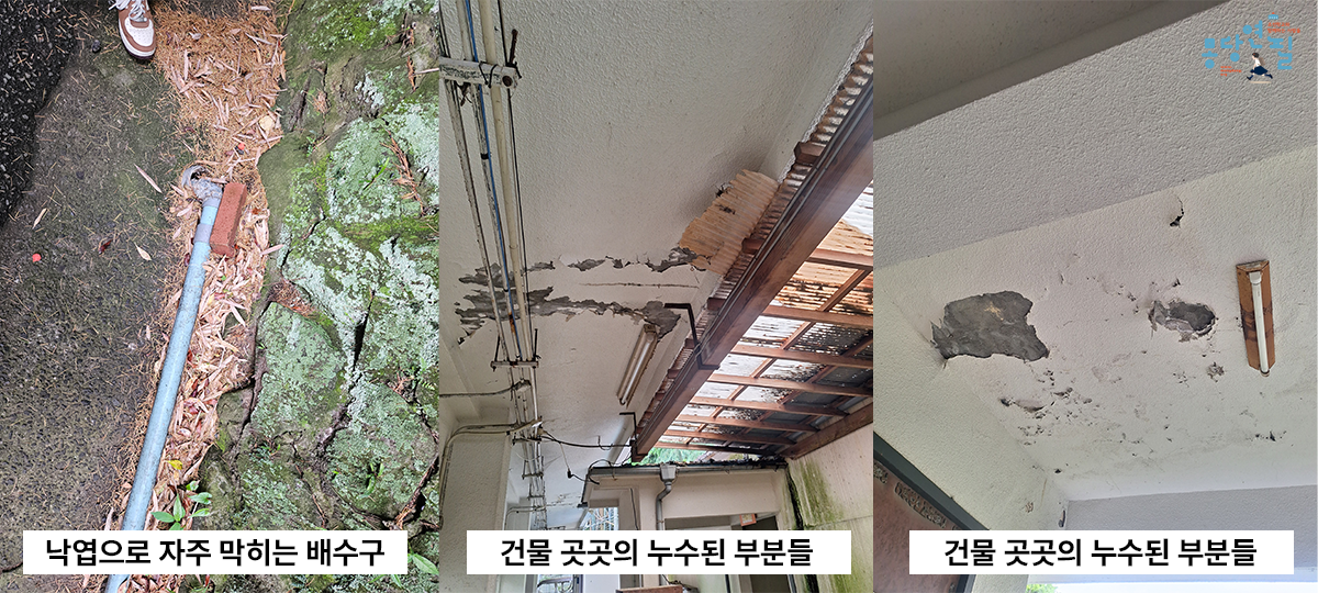 c5a6546d60793.png