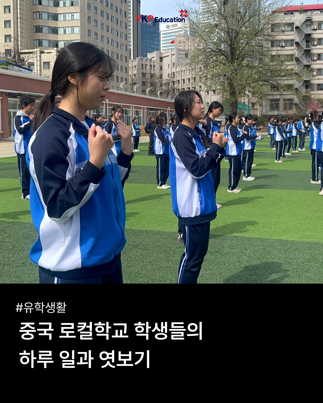 a830514bb2849.png