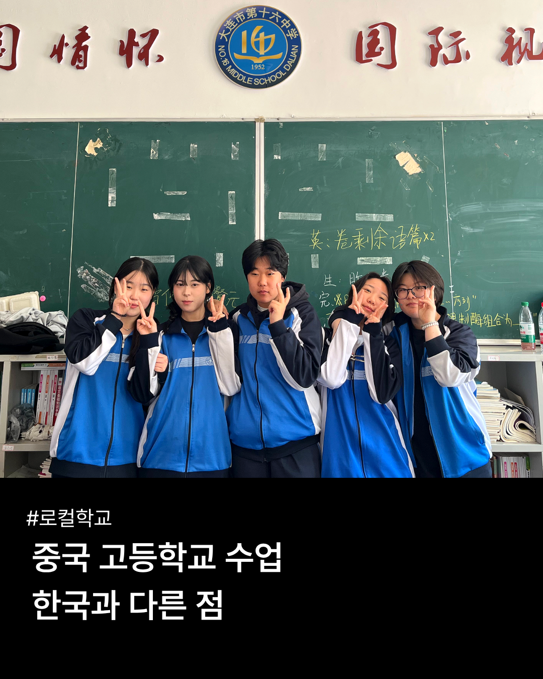 c8c6ae05ff04f.png