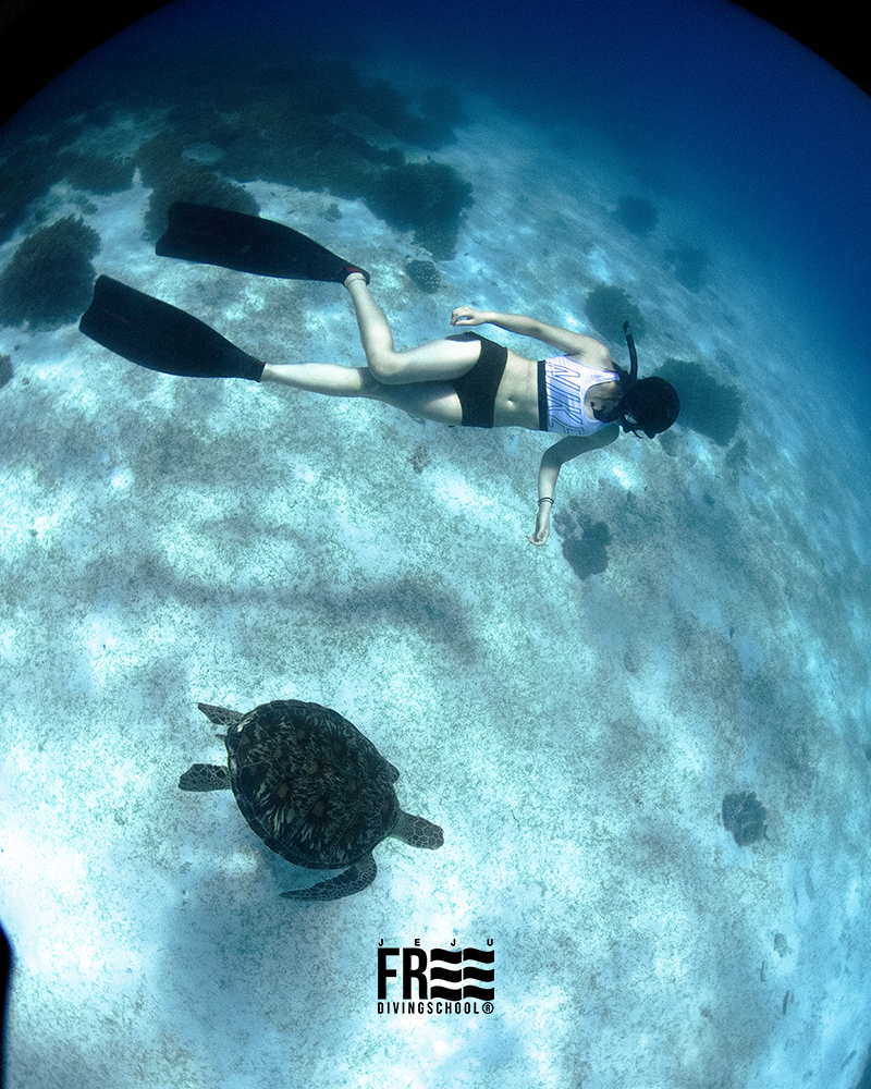 AIDA Level 1 이미지