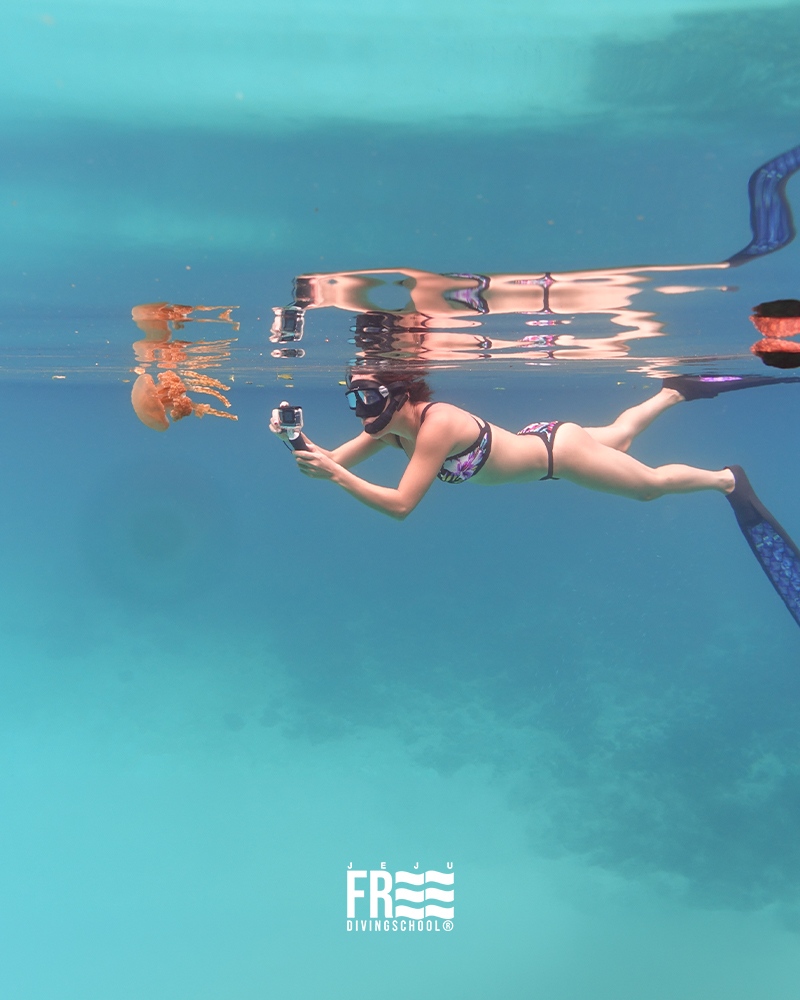 펀 체험다이빙 이미지