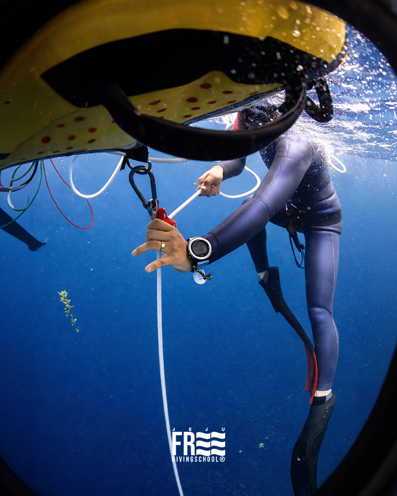 트레이닝 이미지