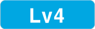 Level 4
