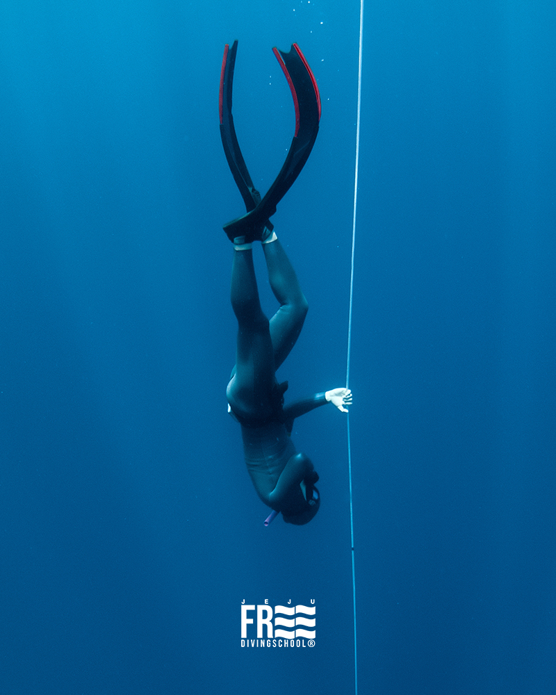 AIDA Level 3 이미지