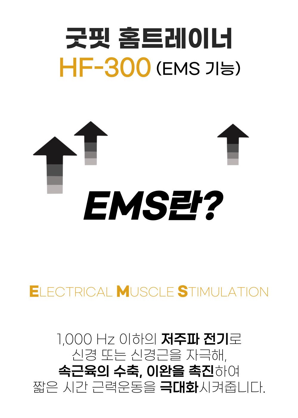 굿프렌드 홈핏 홈트레이너, 시니어 재활운동기구 전동스텝퍼 HF300