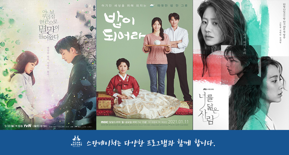 스칸네이처 스웨덴 셀룰로오스 행주 26종세트