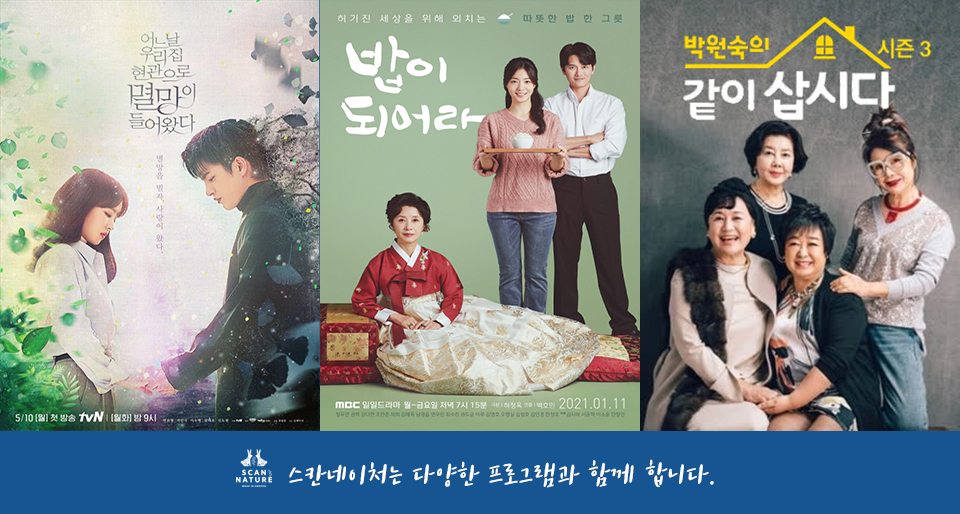 스칸네이처 스웨덴 셀룰로오스 행주 26종세트