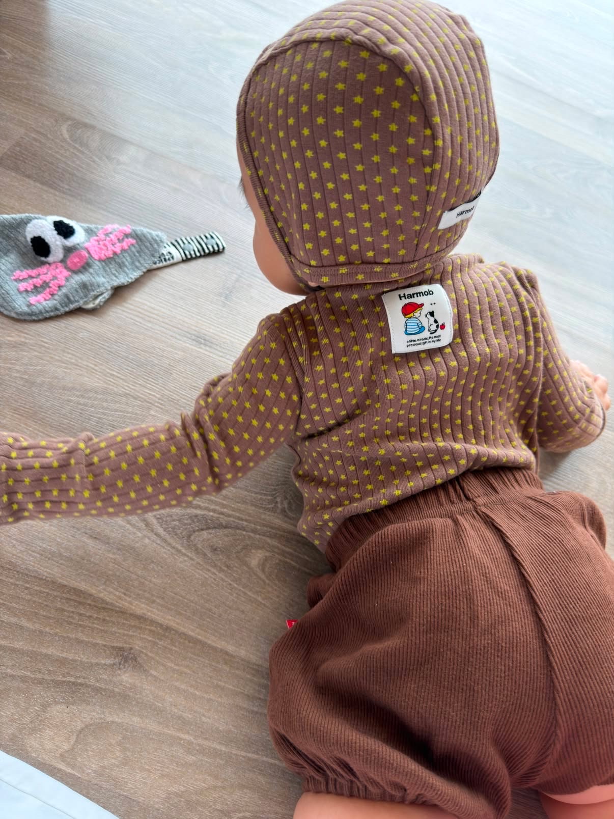 Stella Long suit