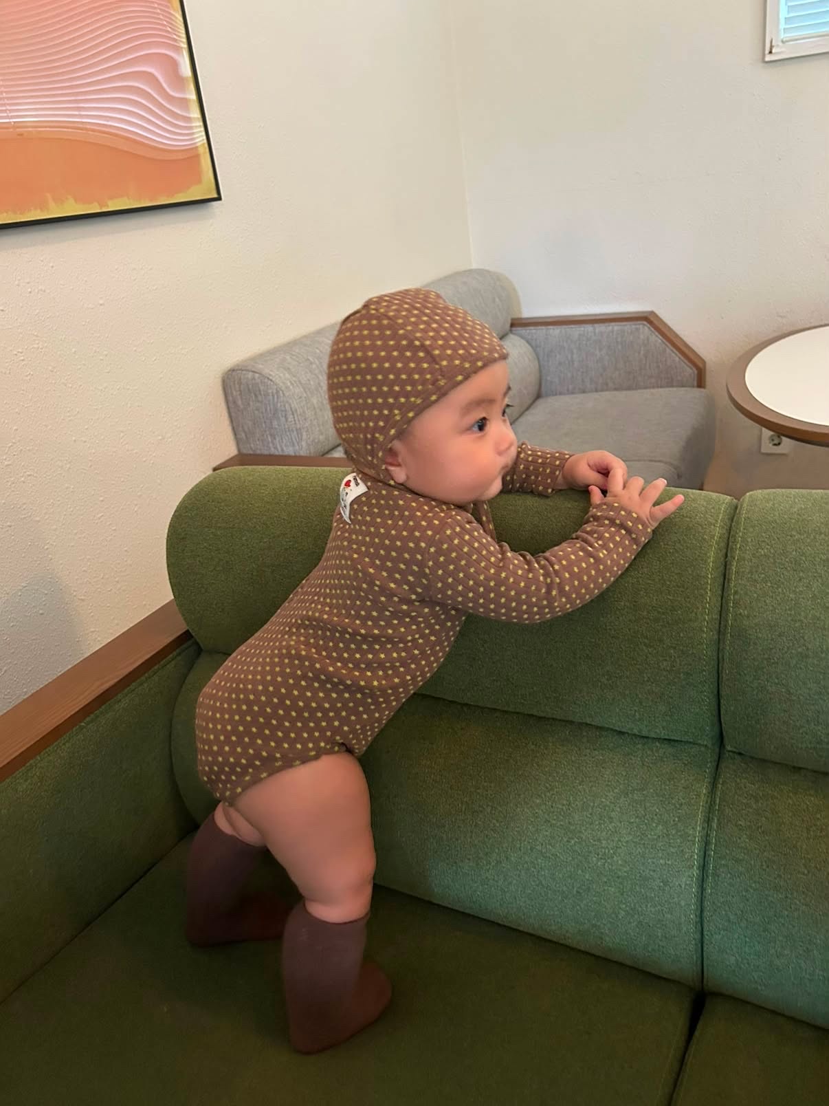 Stella Long suit