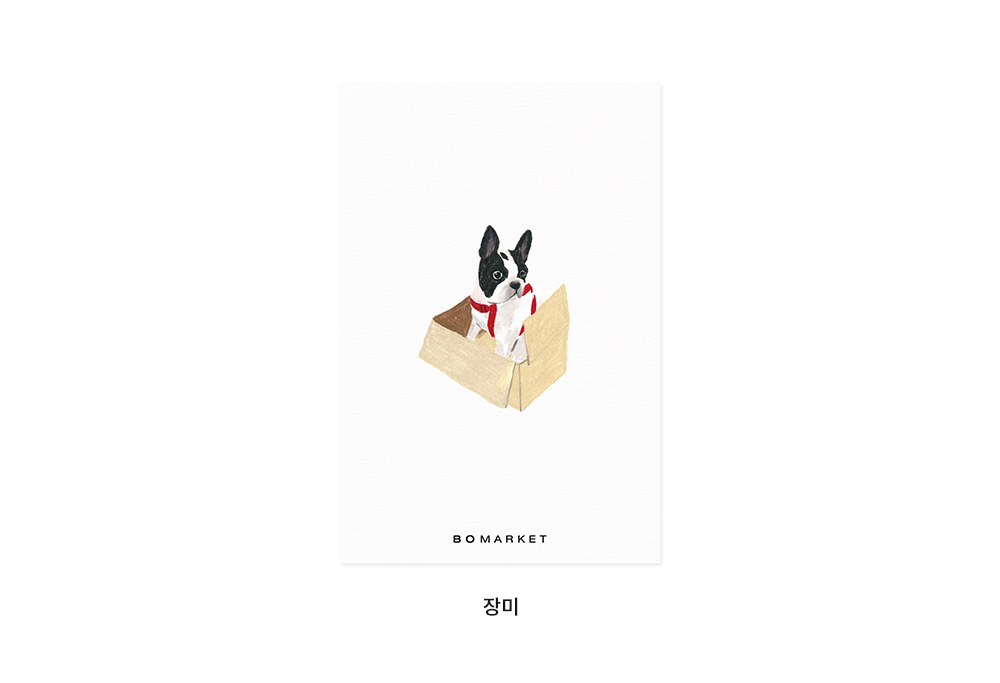 보마켓 강아지 엽서