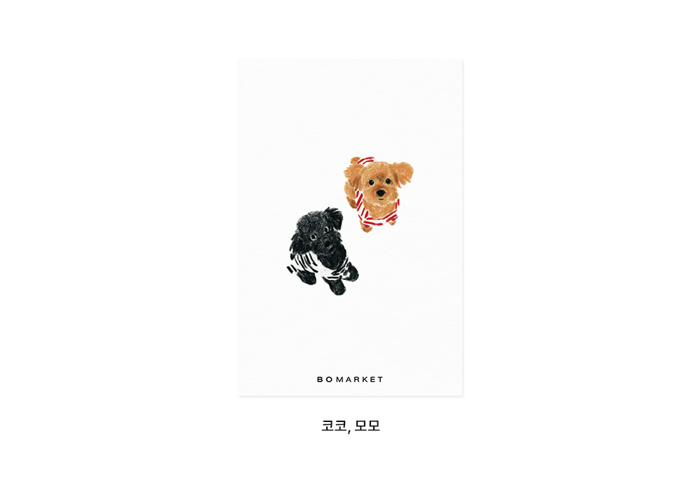 보마켓 강아지 엽서