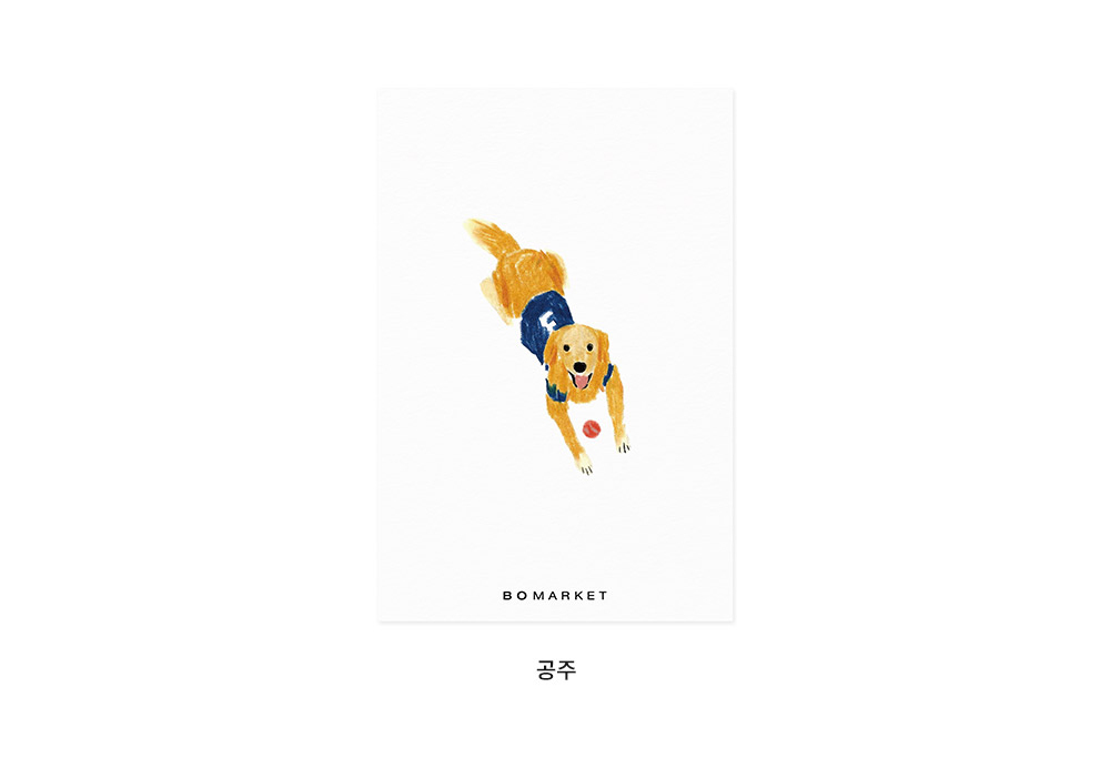 보마켓 강아지 엽서