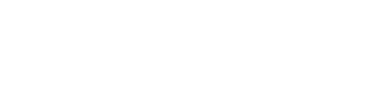 커리큘럼 확인하기