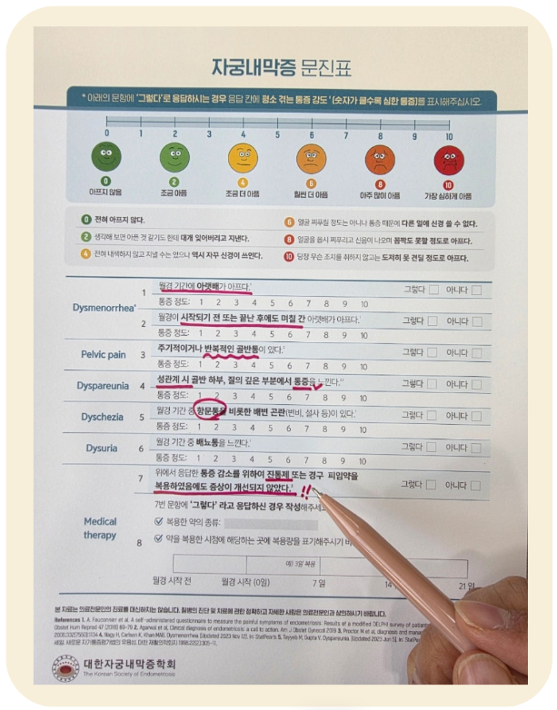 자궁내막증문진표
