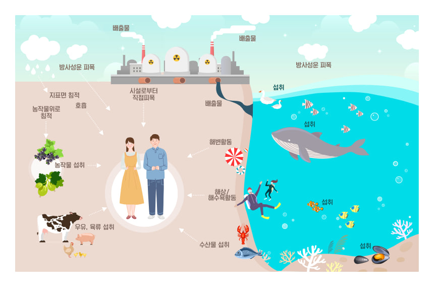 87590c8eacf6f.png