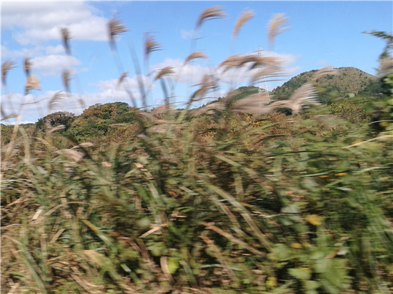 image01