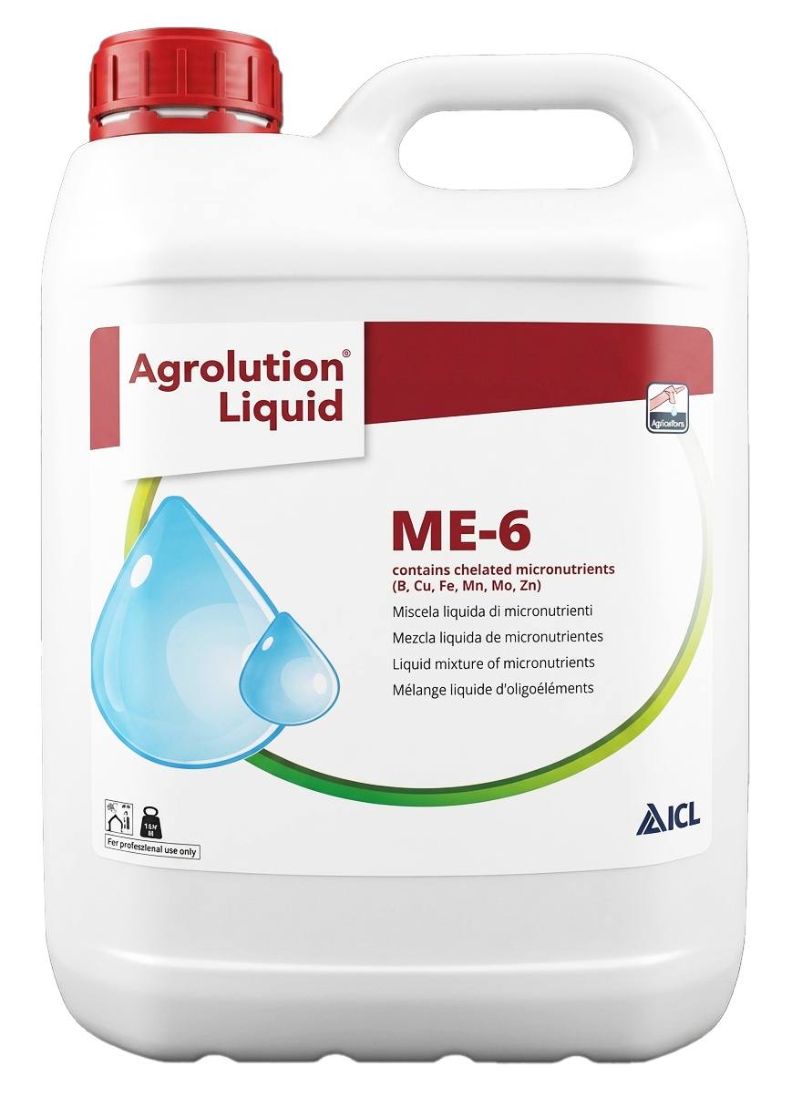 ME-6