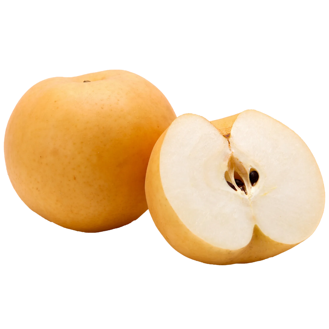 배