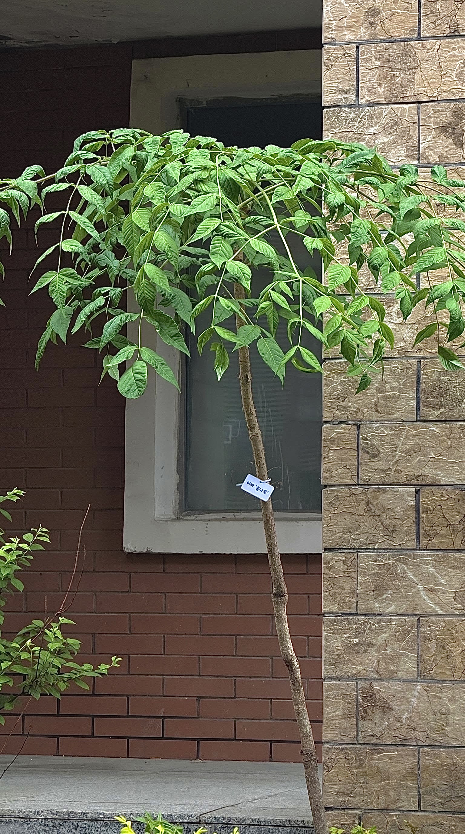 31921d6847520.jpeg