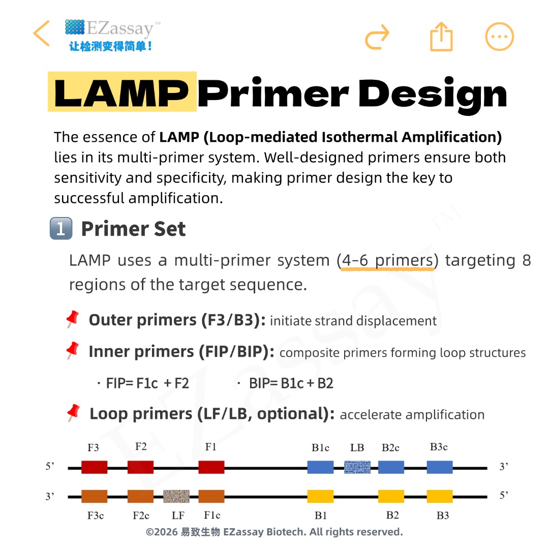 44fd76220f7a1.jpg