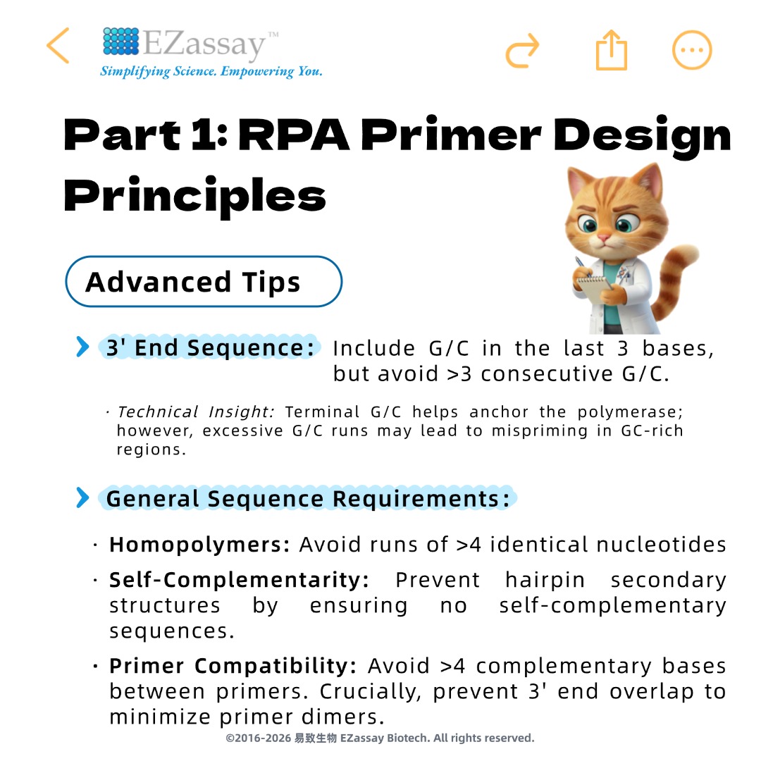 a3c1a12eb5944.jpg