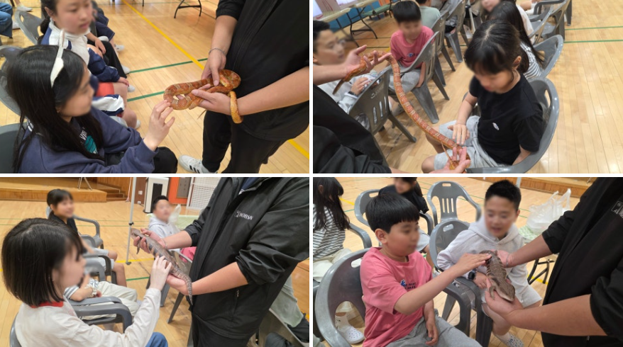 희귀동물 교감 체험