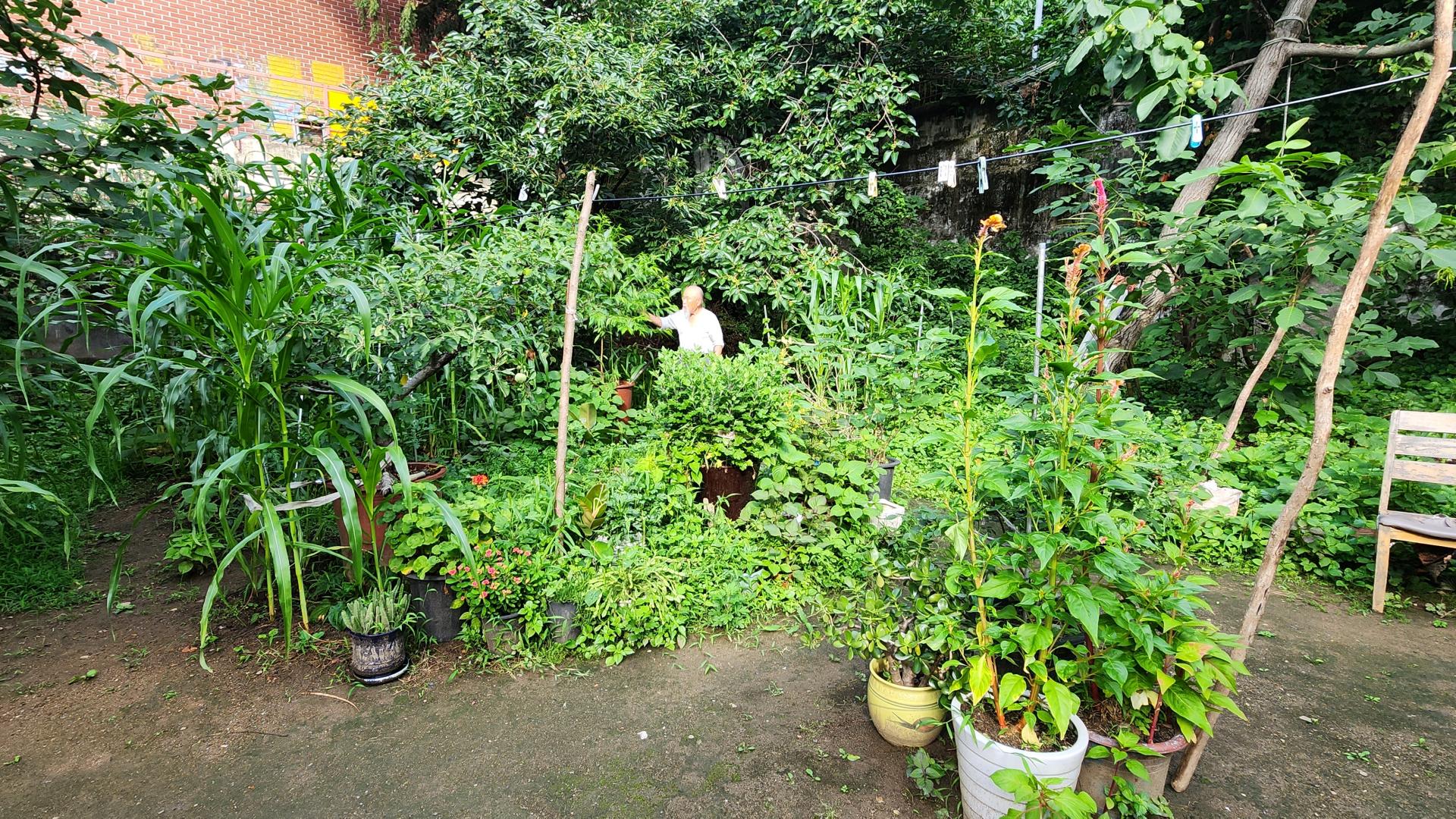5064a286e568a.jpg