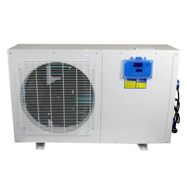 4abb385f7a191.jpg