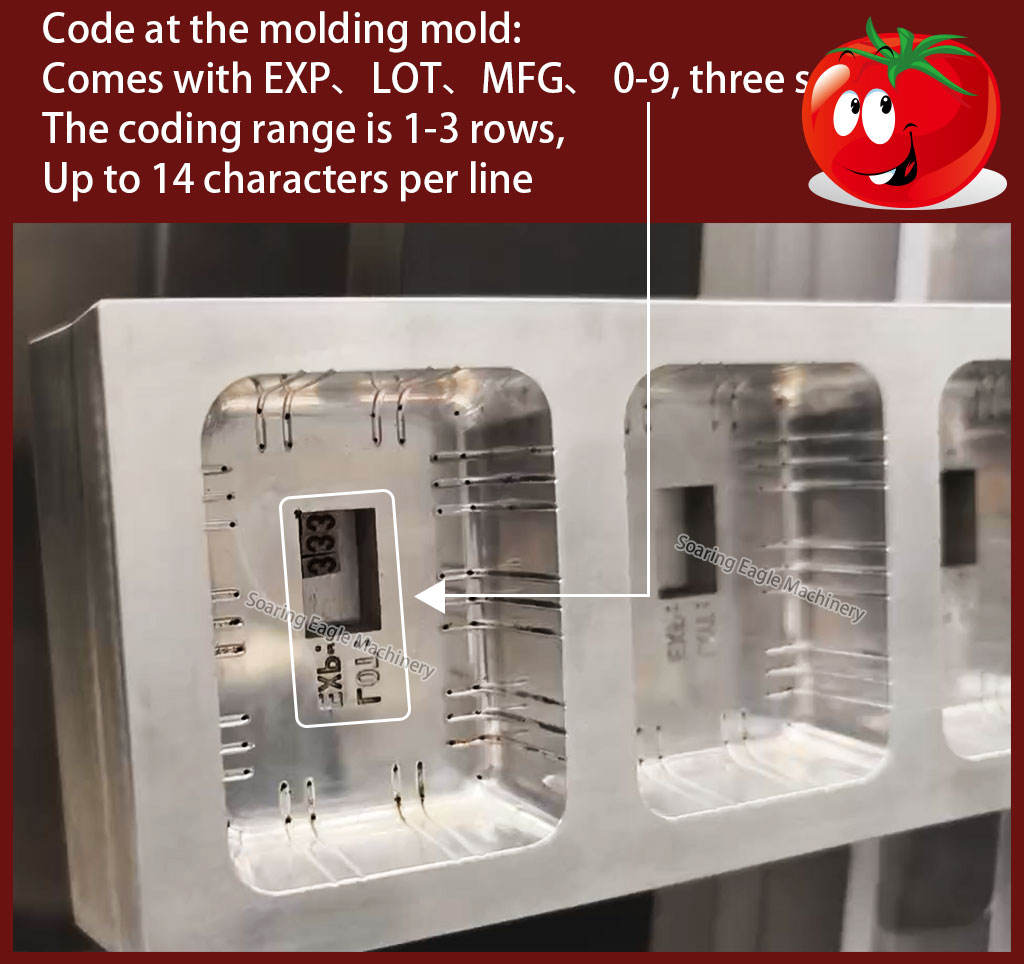 66e9e6aed1f4e.jpg