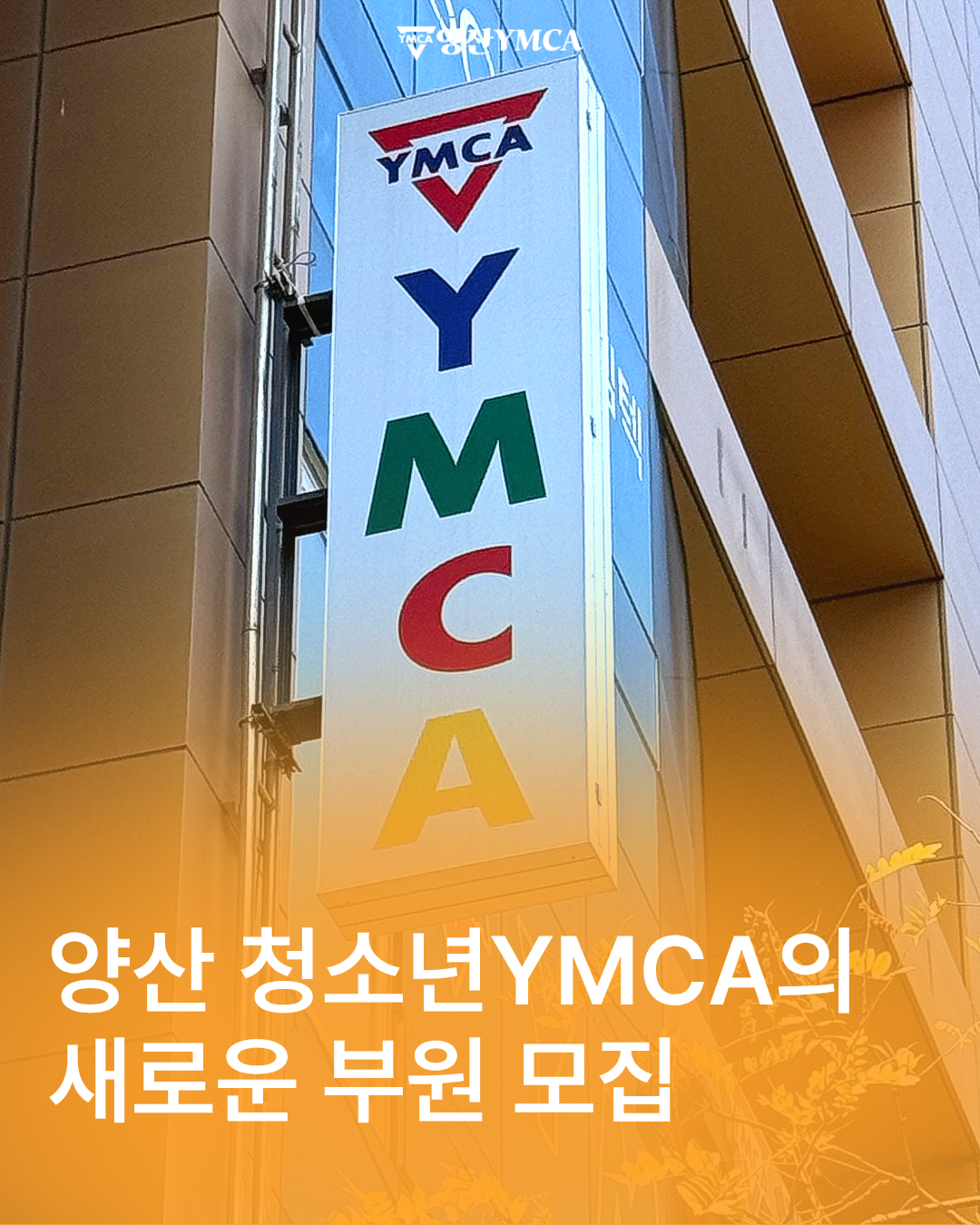 a521ae8c5c409.png