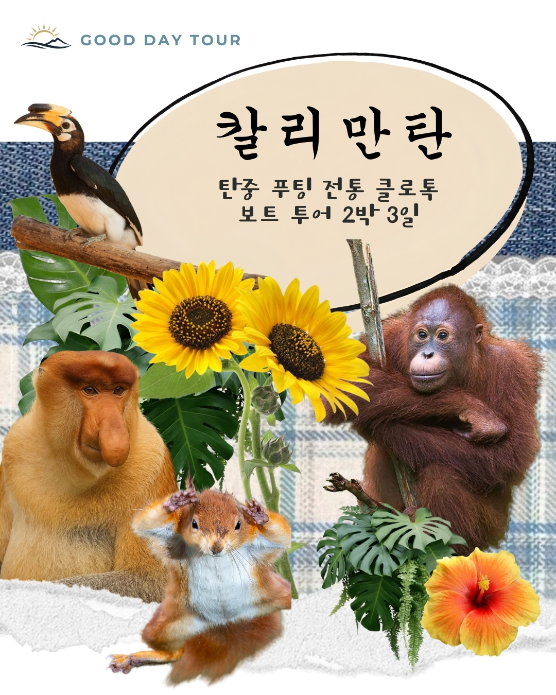 칼리만탄 탄중푸팅 국립공원-2박3일 클로톡 보트투어