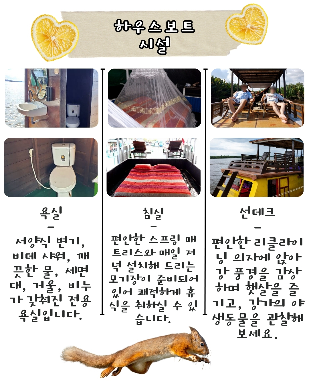 칼리만탄 탄중푸팅 국립공원-2박3일 클로톡 보트투어
