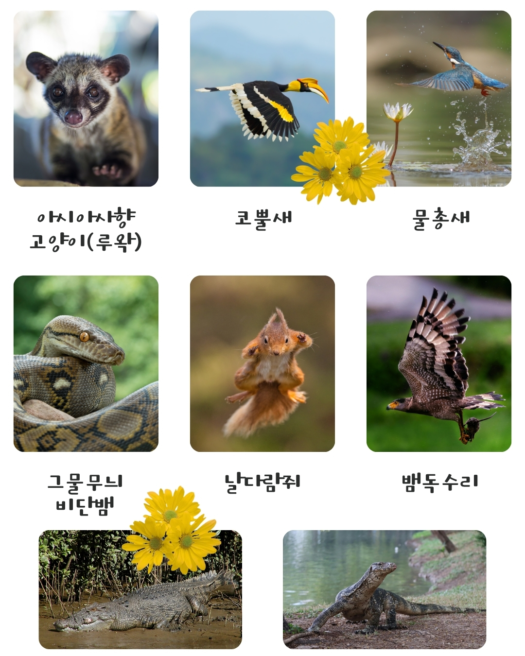 칼리만탄 탄중푸팅 국립공원-2박3일 클로톡 보트투어